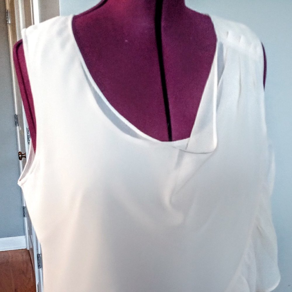 Gap Pale Blush Ruffled Sheer Sleeveless Top